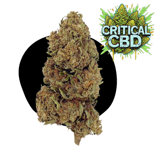 Kriitiline CBD