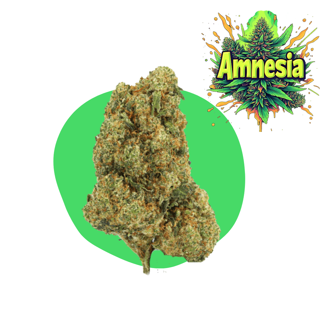 Amneesia CBD