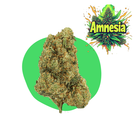 Amneesia CBD